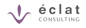 &eacute;clat Consulting - OVI Survey